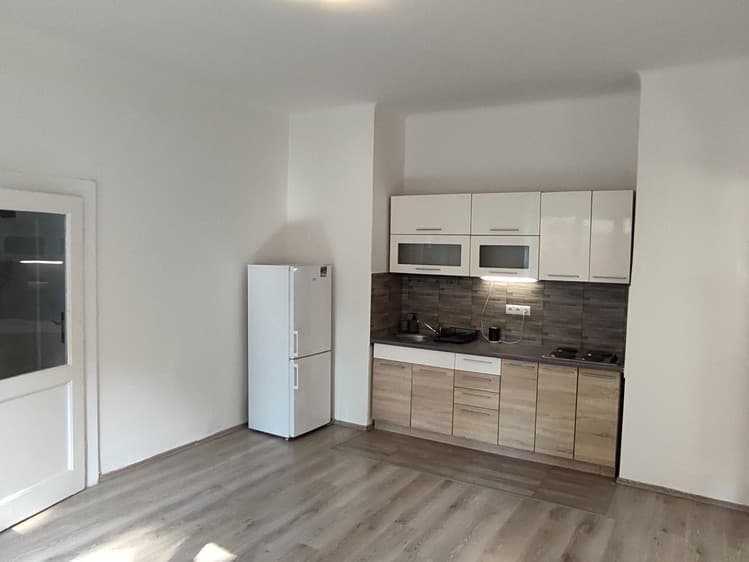 Pronájem bytu 2+kk 50 m² (Jednopodlažní)