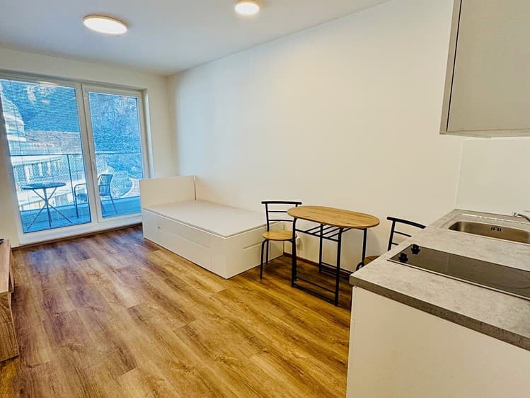 Pronájem bytu 1+kk 28 m² (Jednopodlažní)
