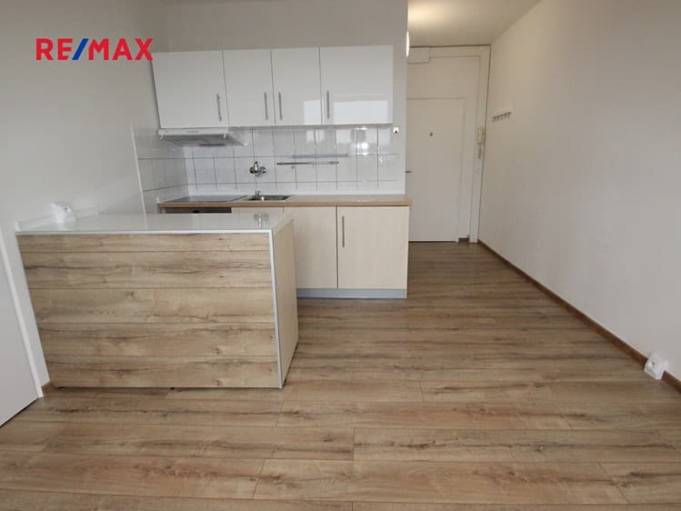 Pronájem bytu 1+1 36 m²