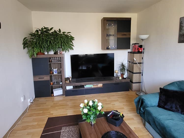 Prodej bytu 1+1 35 m² (Jednopodlažní)