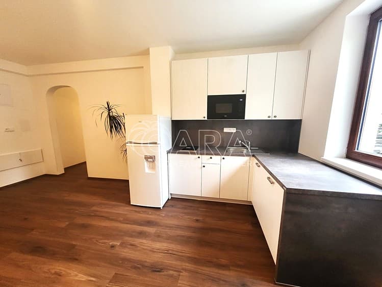 Pronájem bytu 2+kk 60 m² (Jednopodlažní)