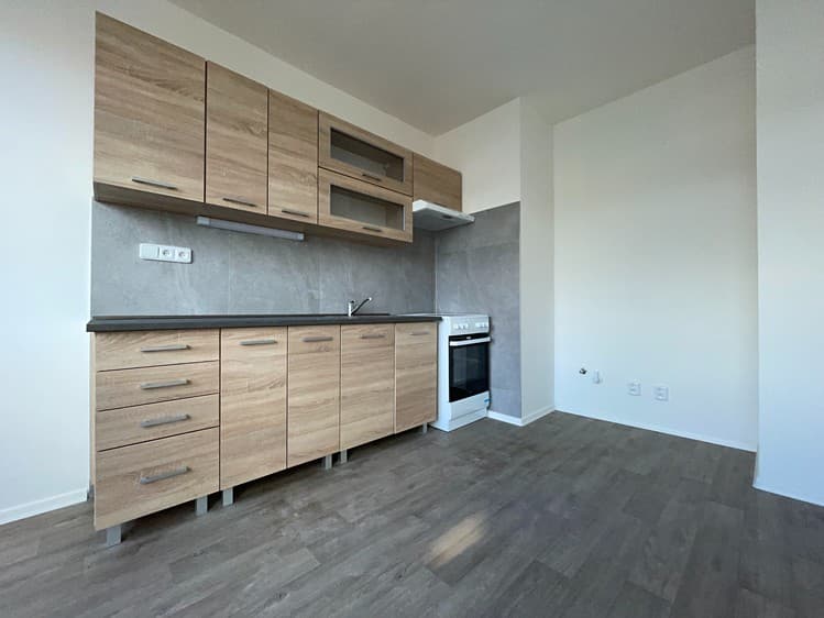 Pronájem bytu 1+1 41 m² (Jednopodlažní)