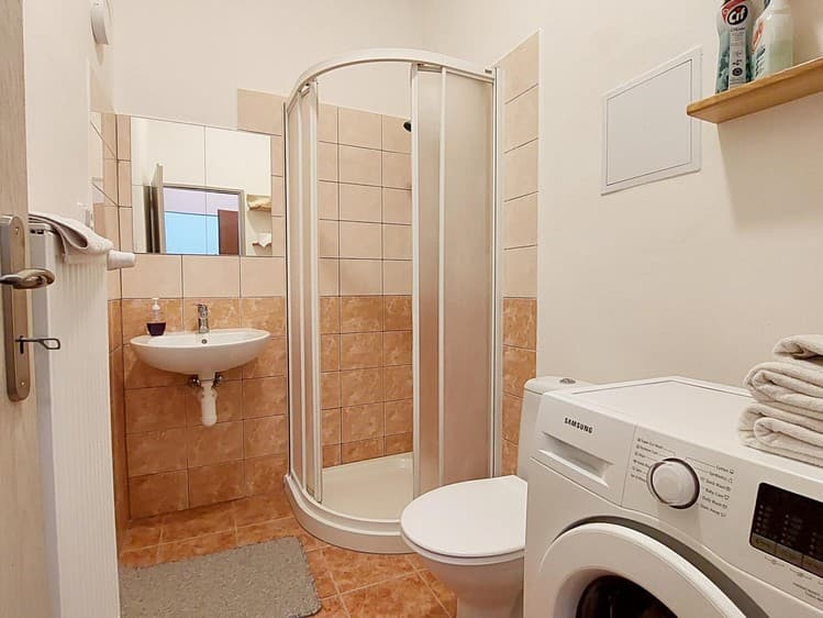 Pronájem bytu 1+kk 33 m²