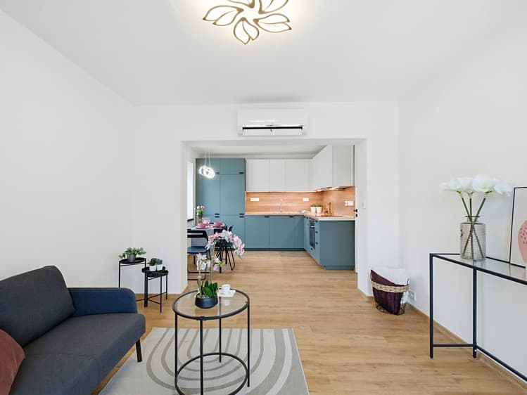 Pronájem bytu 3+kk 55 m² (Jednopodlažní)