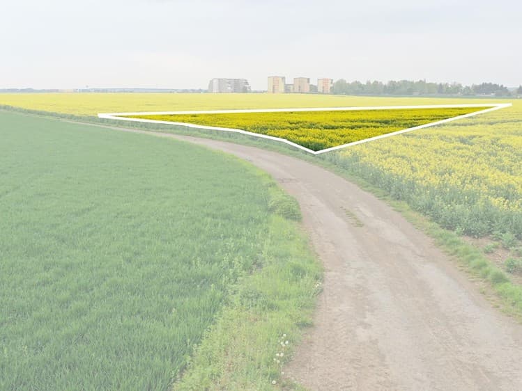 Prodej pole 5 953 m²