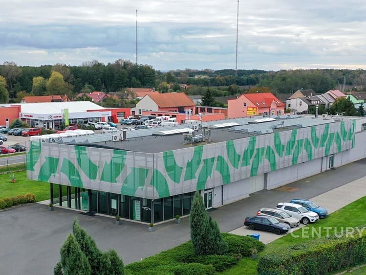 Pronájem obchodního prostoru 700 m²