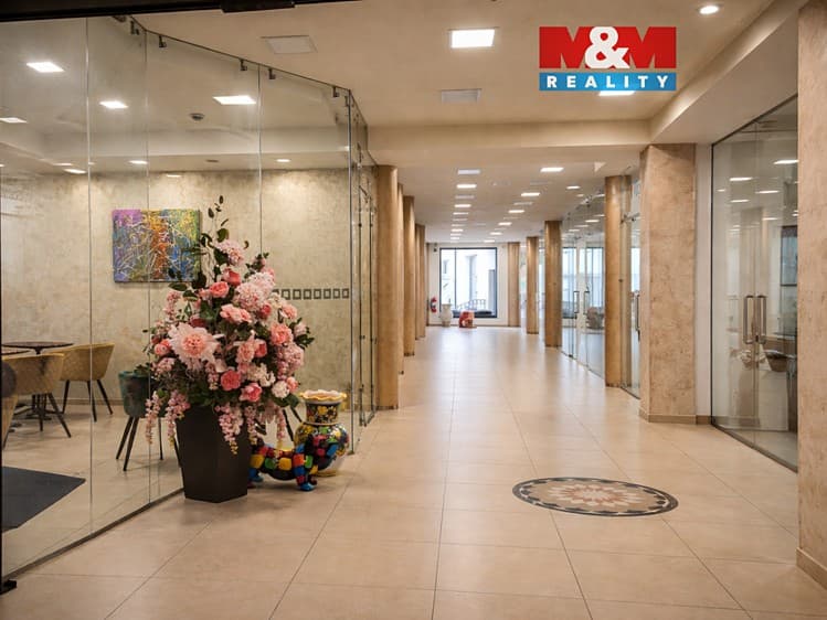 Pronájem obchodního prostoru 38 m²