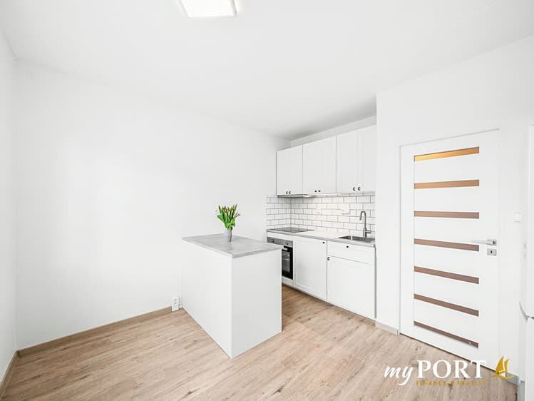 Pronájem bytu 1+1 39 m²