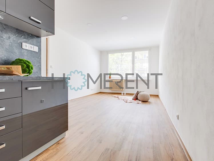 Pronájem bytu 2+kk 42 m² (Jednopodlažní)