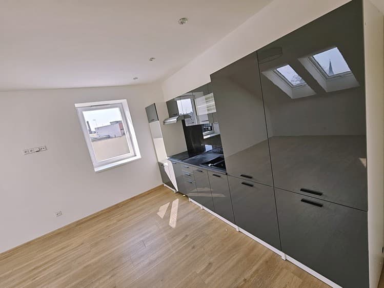Pronájem bytu 2+kk 44 m² (Jednopodlažní)