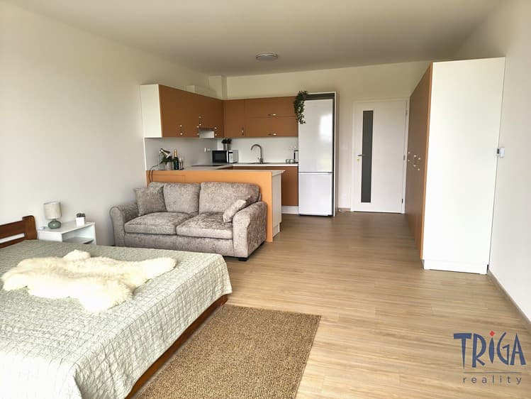 Pronájem bytu 1+kk 36 m²