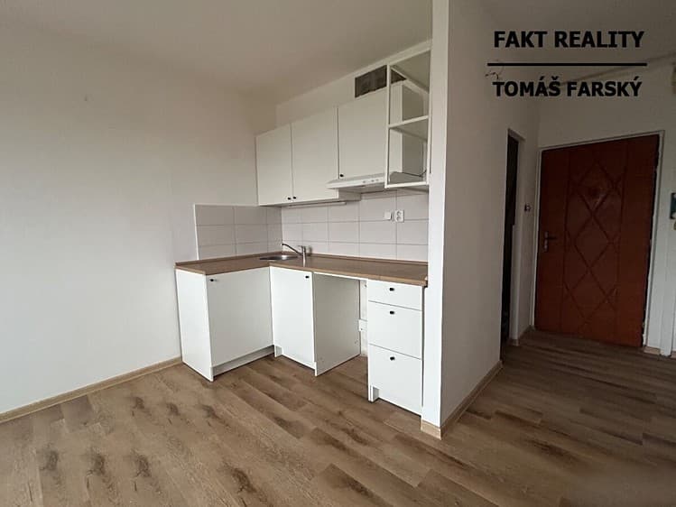 Pronájem bytu 1+kk 19 m² (Jednopodlažní)