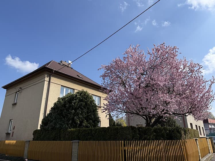 Prodej rodinného domu 429 m², pozemek 365 m²