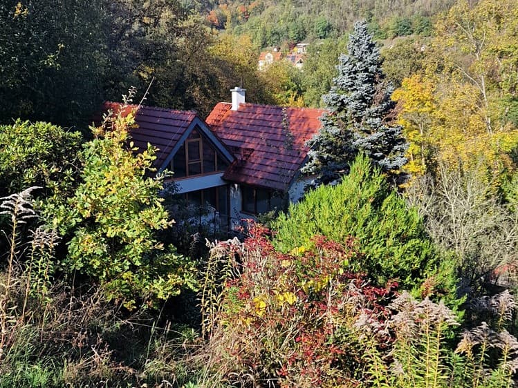 Pronájem projektu na klíč 100 m², pozemek 4 700 m²