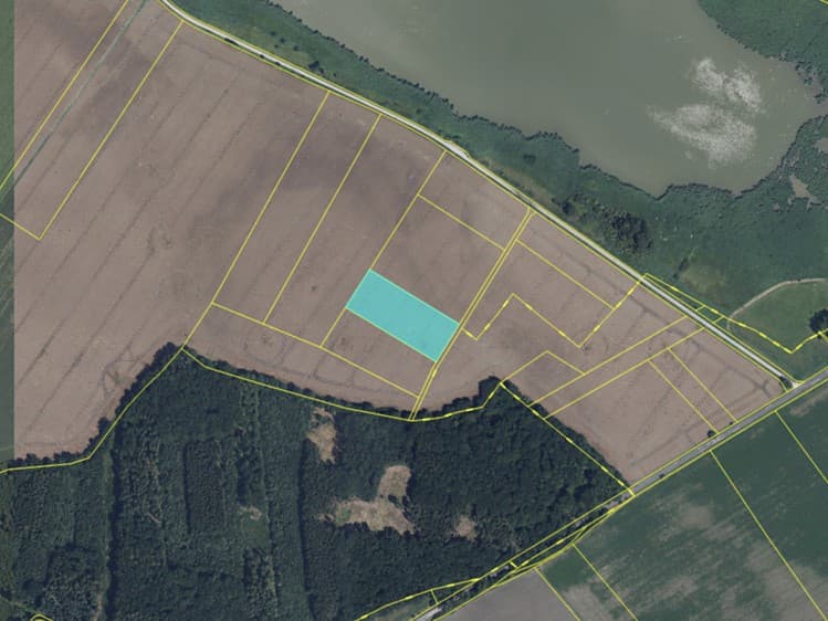 Prodej pole 5 338 m²