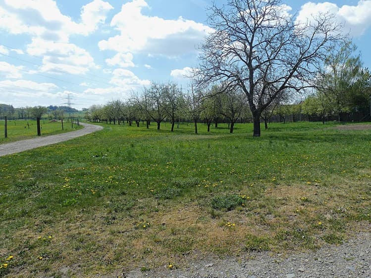 Prodej pozemku 3 224 m²