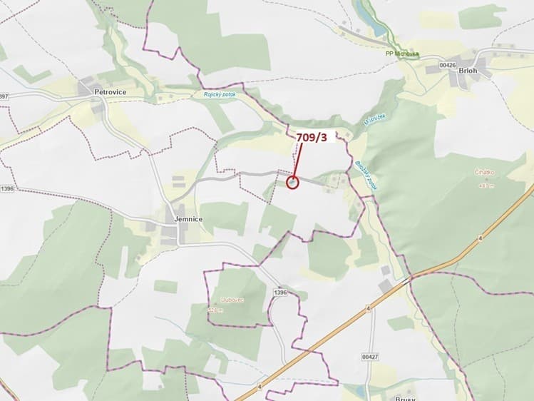 Dražba lesa 301 m²