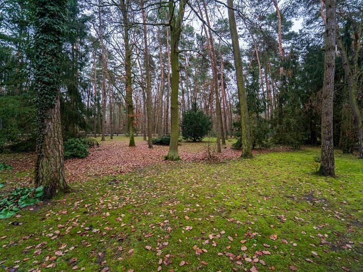 Prodej stavebního pozemku 2 800 m²