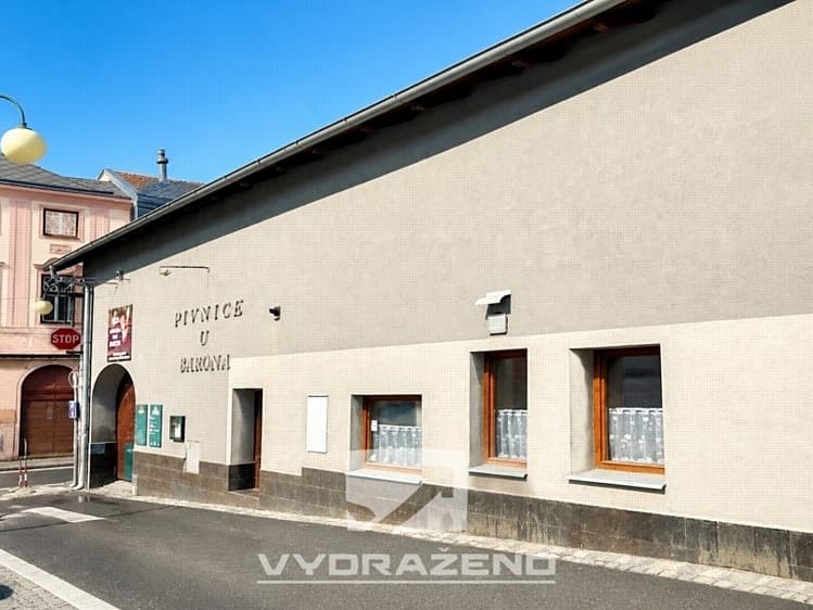 Prodej obchodního prostoru 800 m²