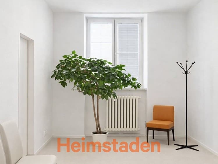 Pronájem kanceláře 54 m²