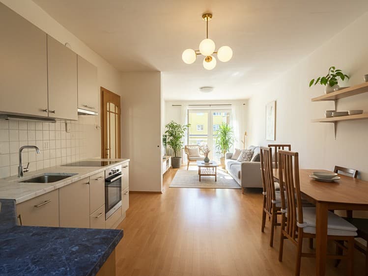 Prodej bytu 2+1 48 m² (Jednopodlažní)