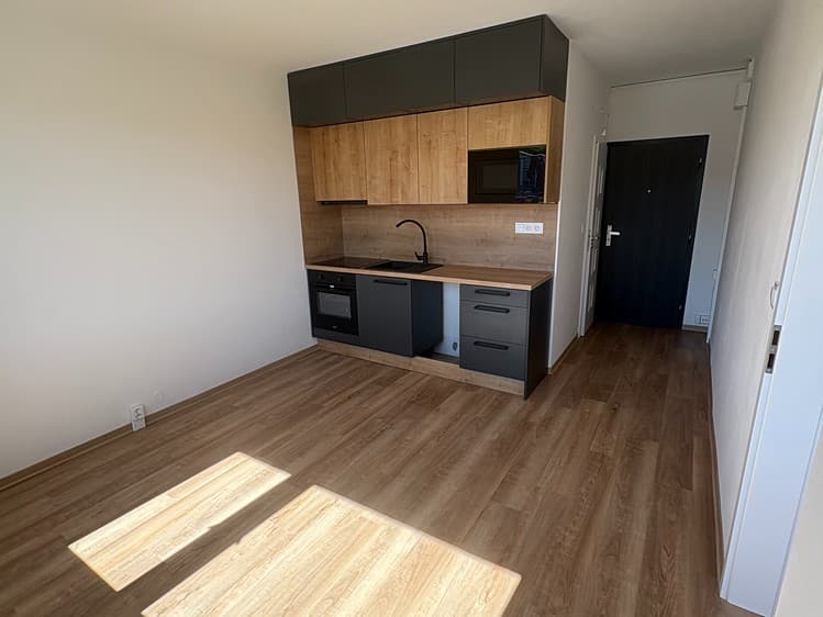 Prodej bytu 1+1 37 m² (Jednopodlažní)