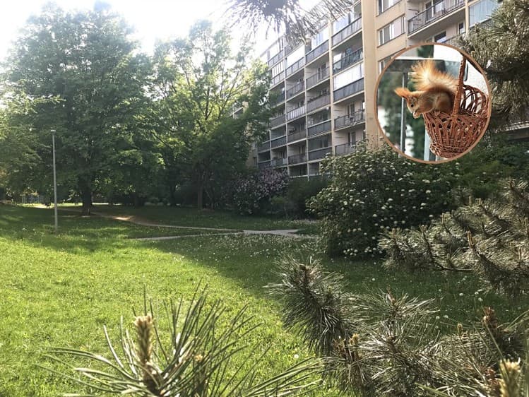 Prodej bytu 3+kk 64 m²
