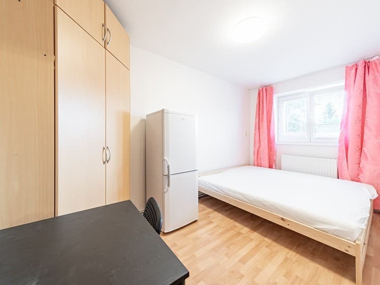 Pronájem pokoje 15 m² (Jednopodlažní)