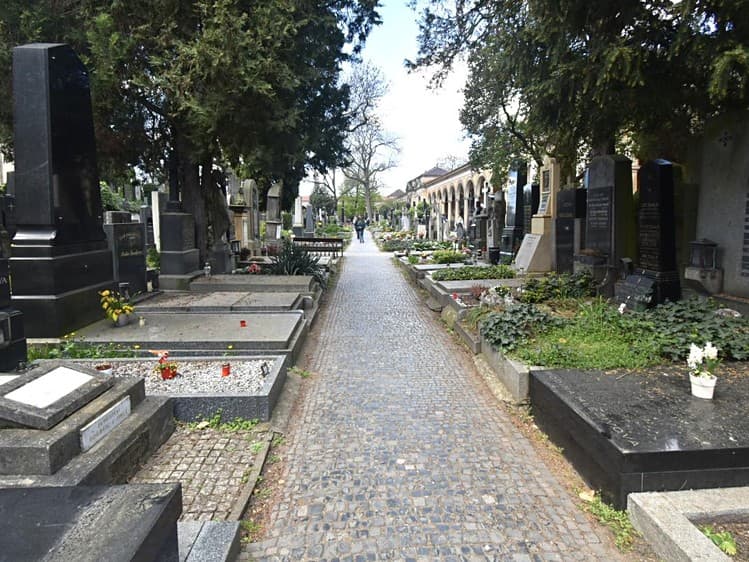 Prodej specifického typu nemovitosti 2 m²