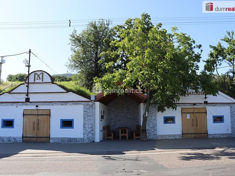 Prodej vinného sklepa 165 m²