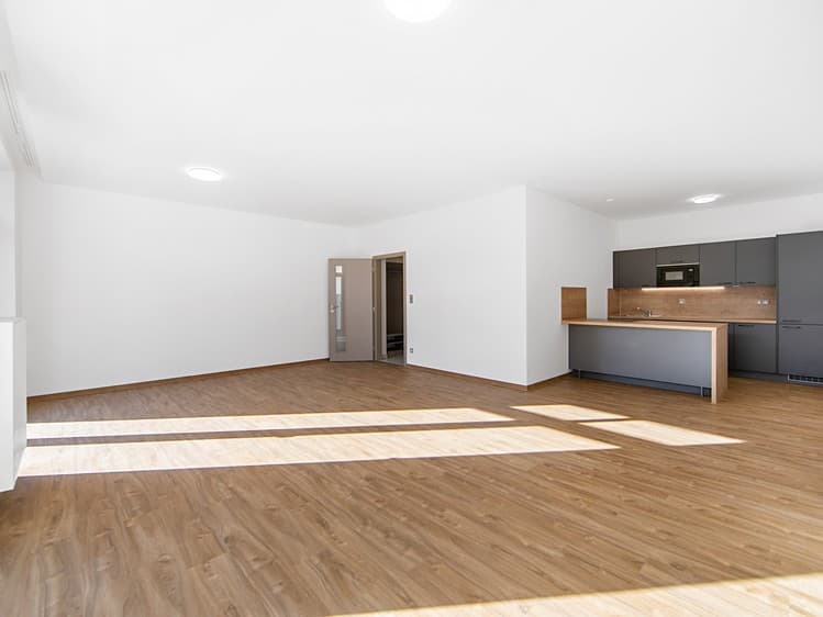 Pronájem bytu 1+kk 56 m² (Jednopodlažní)