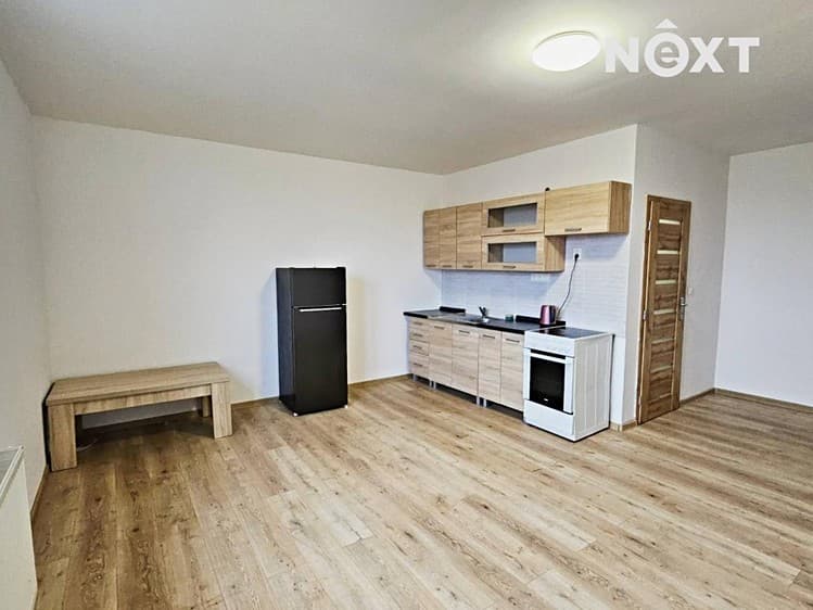 Pronájem bytu 1+kk 40 m² (Jednopodlažní)