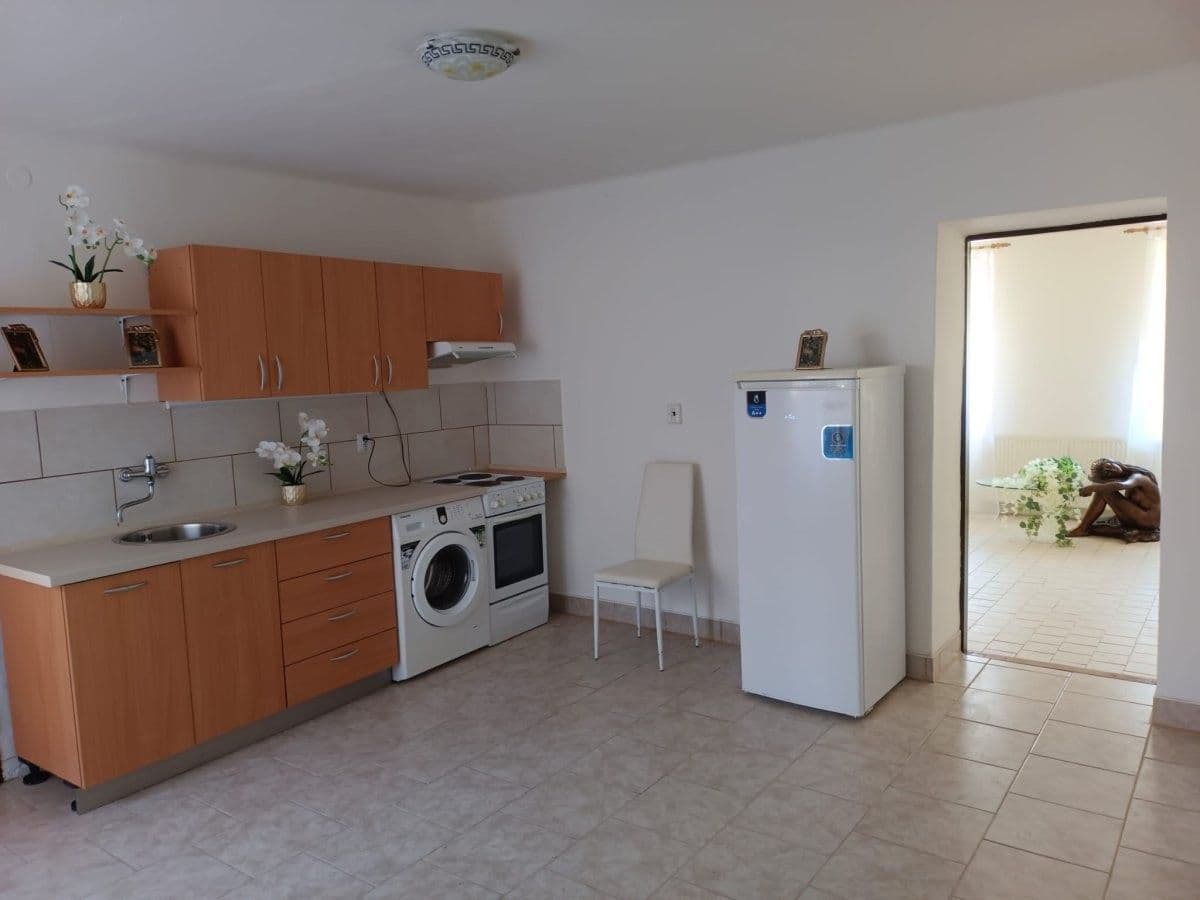Pronájem bytu 1+1 48 m²