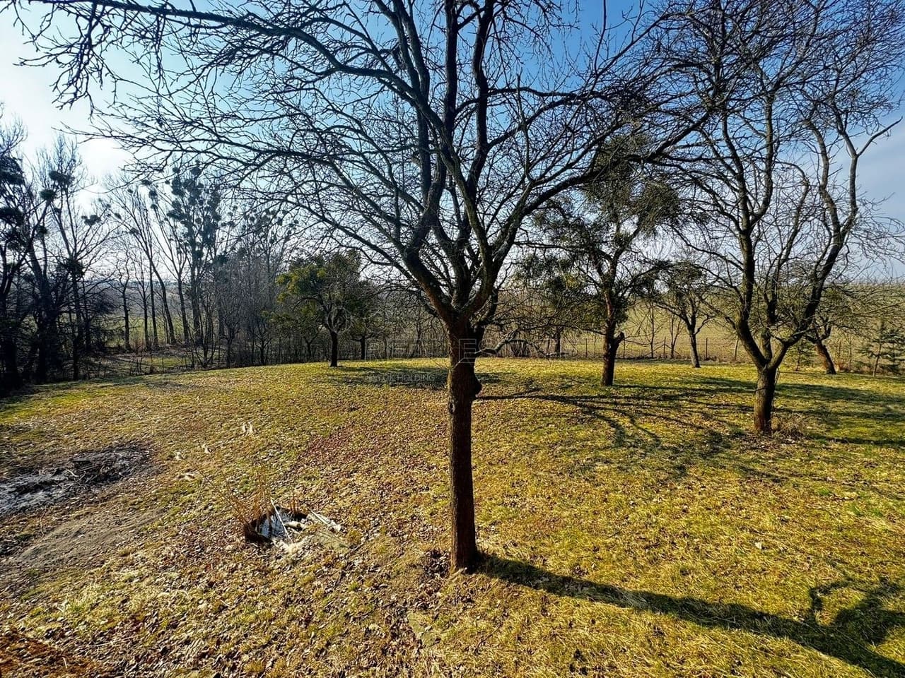 Prodej pozemku 3362 m²