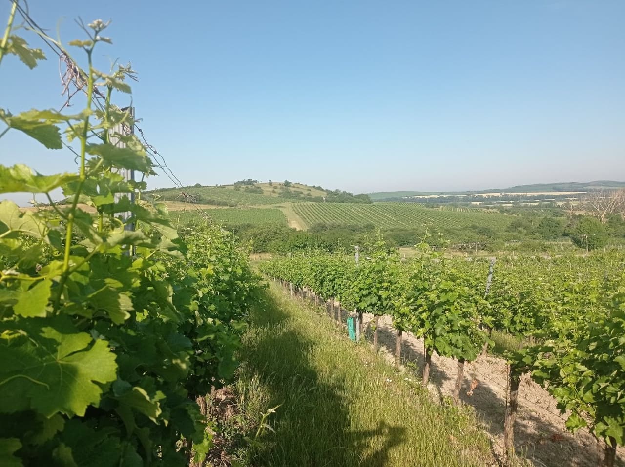 Prodej nemovitosti 12285 m²