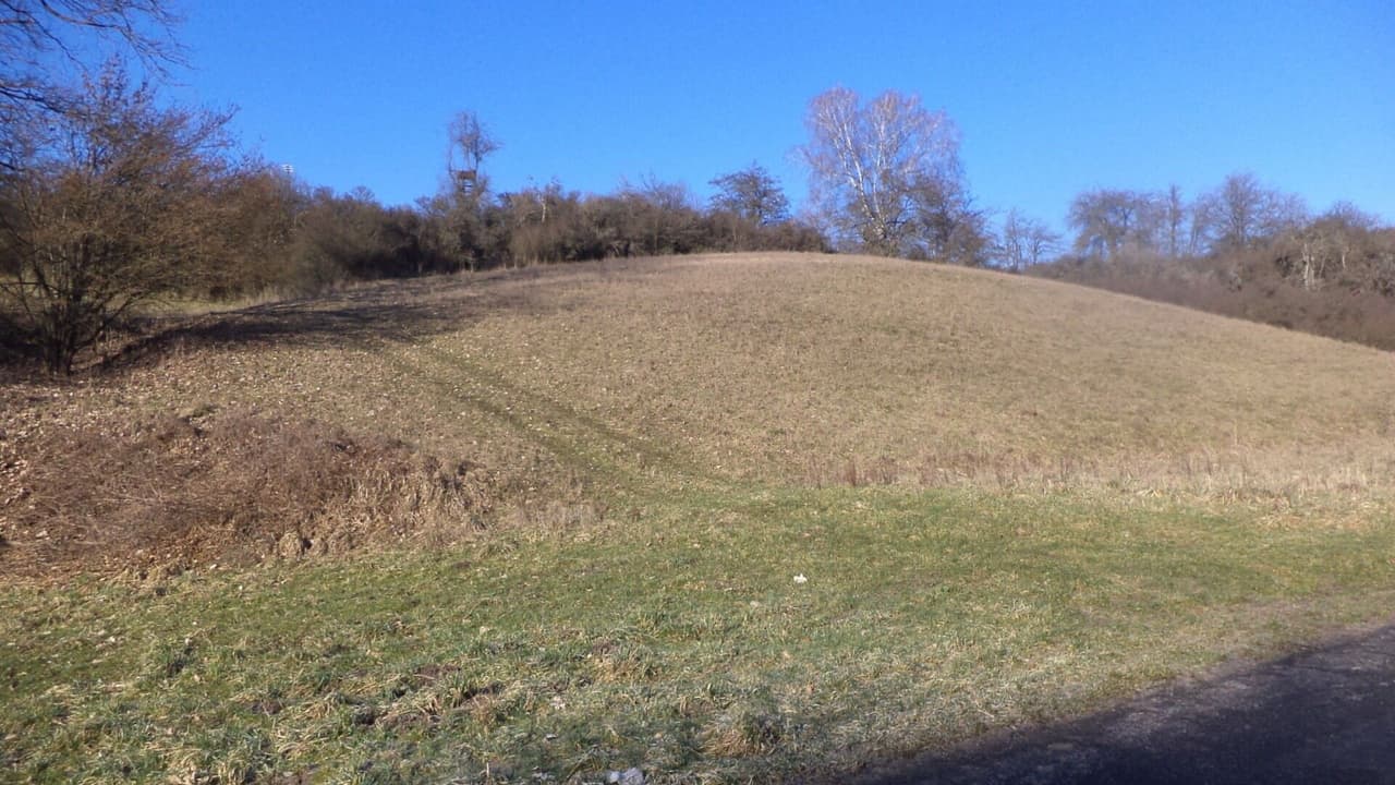 Prodej pozemku 3880 m²