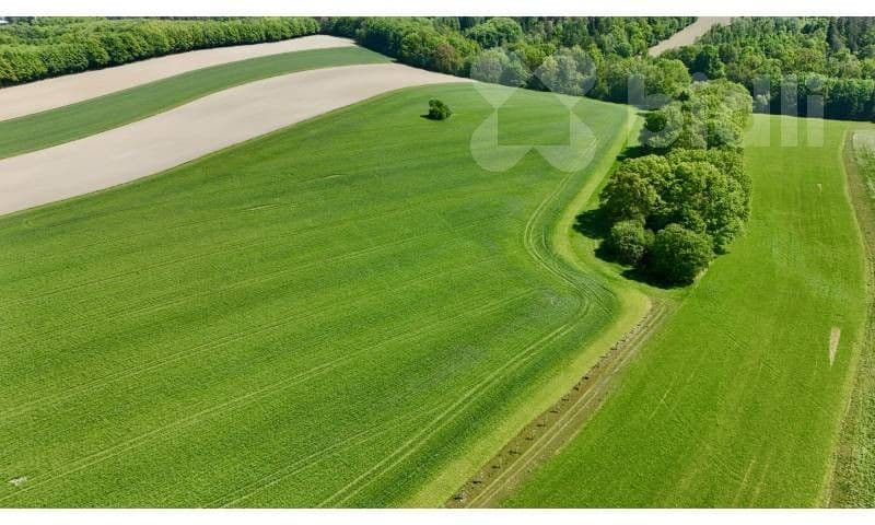 Pronájem pozemku 11105 m²