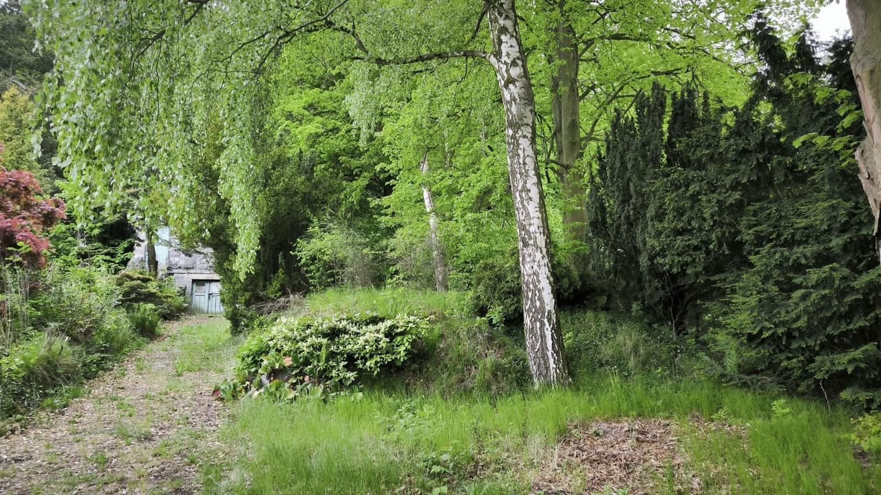 Prodej pozemku 770 m²