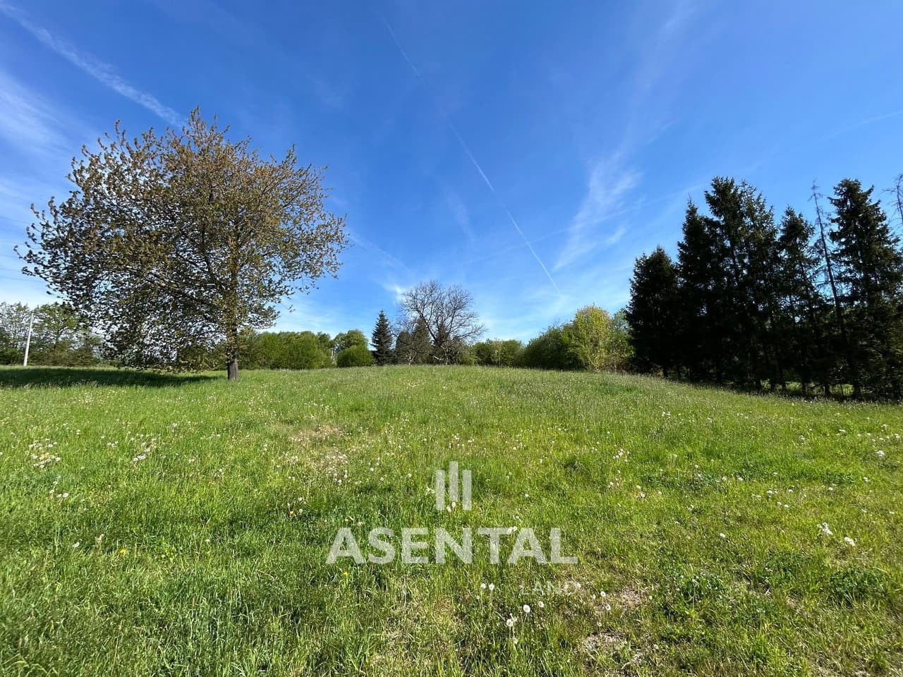 Prodej pozemku 2355 m²