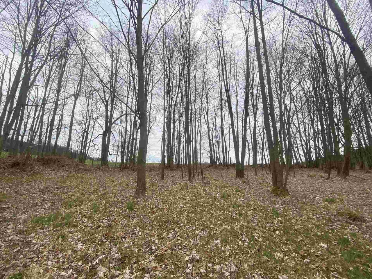 Prodej nemovitosti 4837 m²