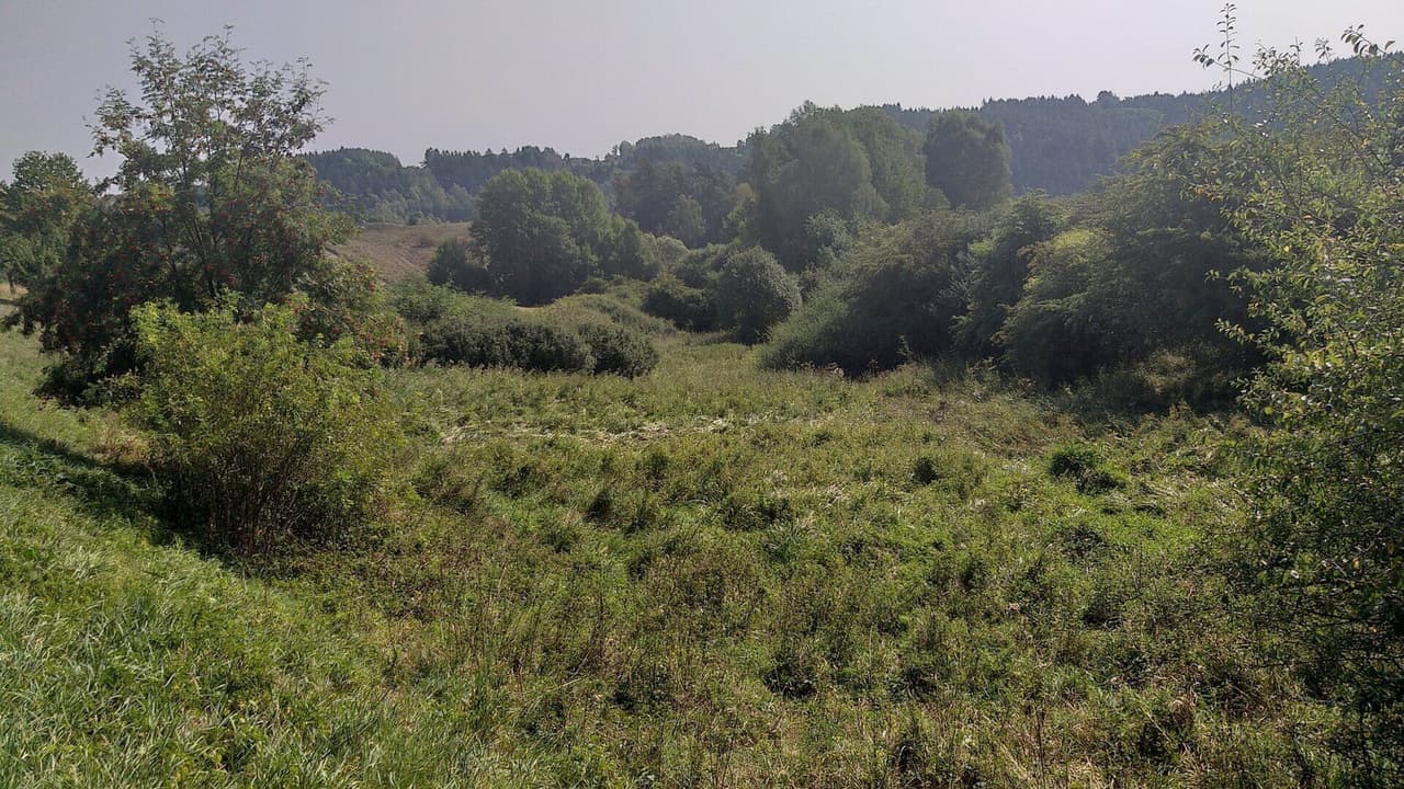 Prodej pozemku 34244 m²