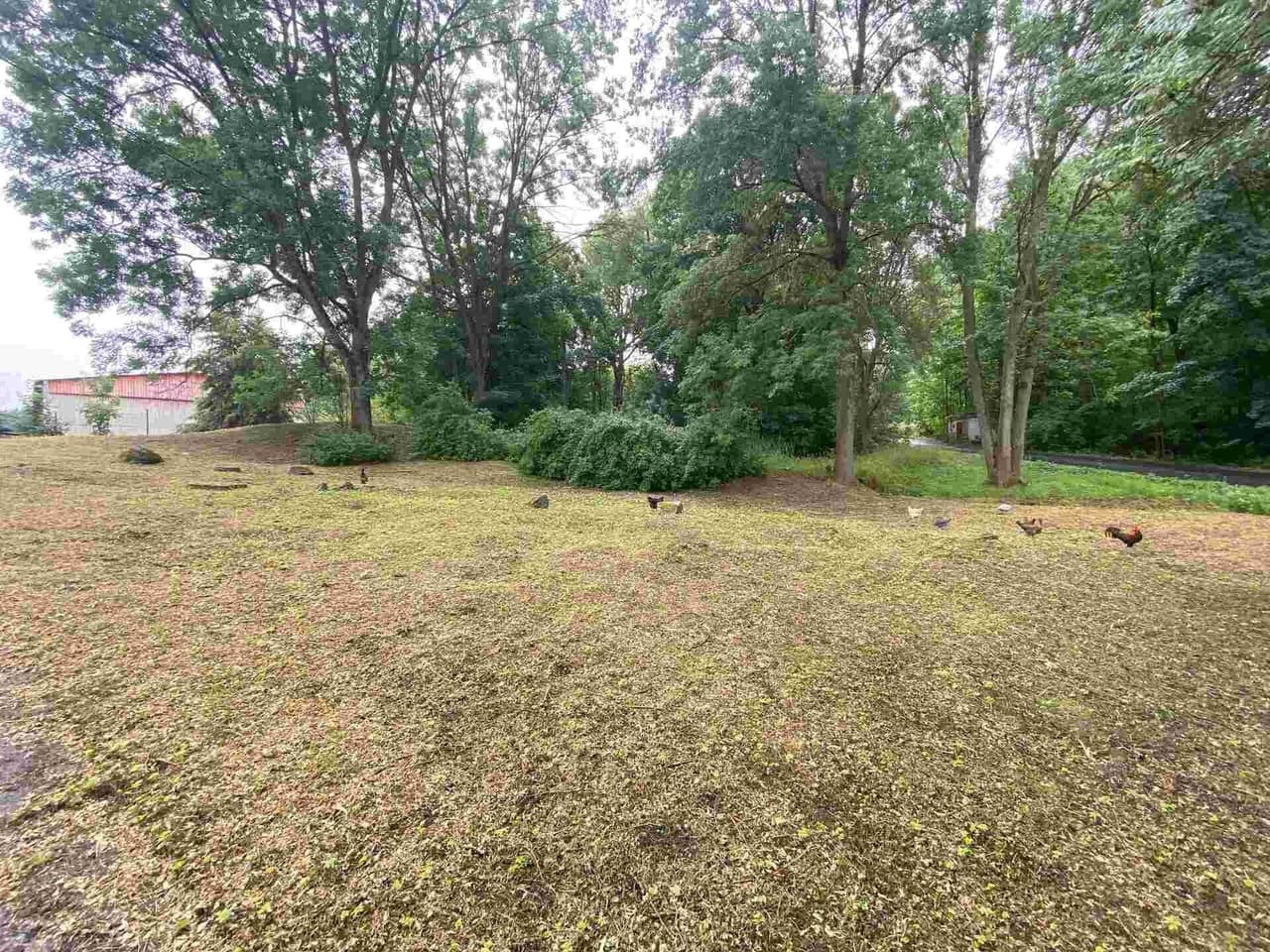 Prodej nemovitosti 1993 m²