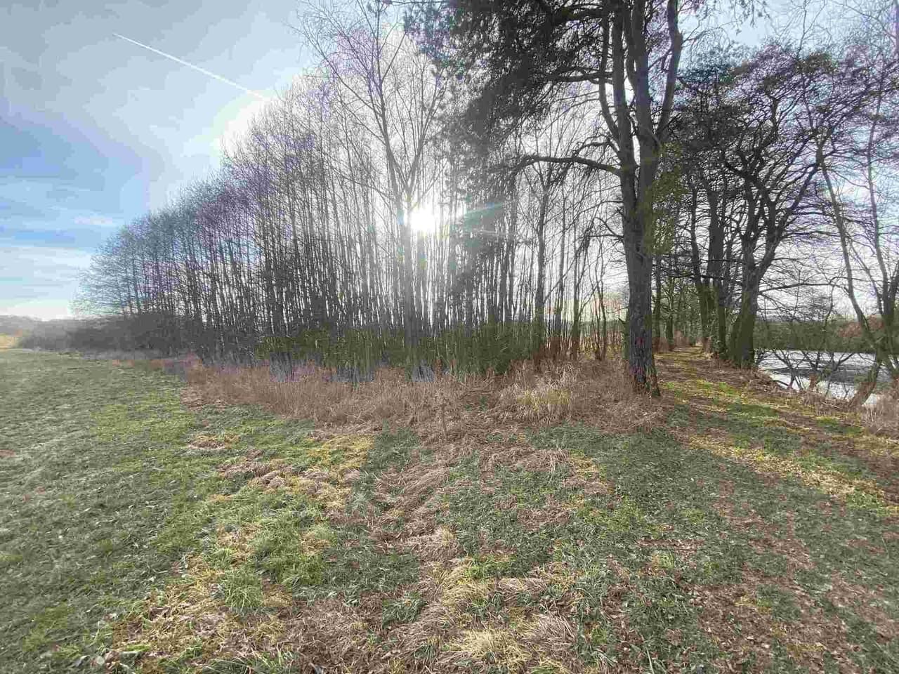 Prodej nemovitosti 1109 m²