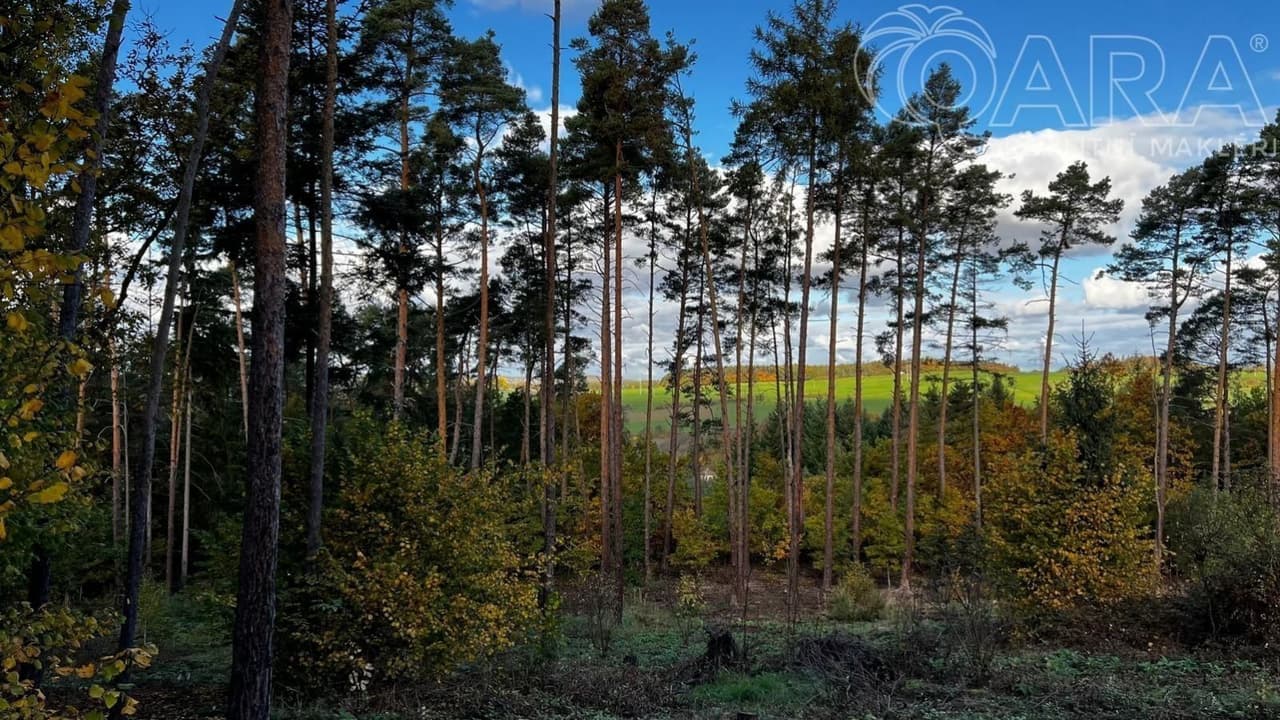 Prodej pozemku 8586 m²
