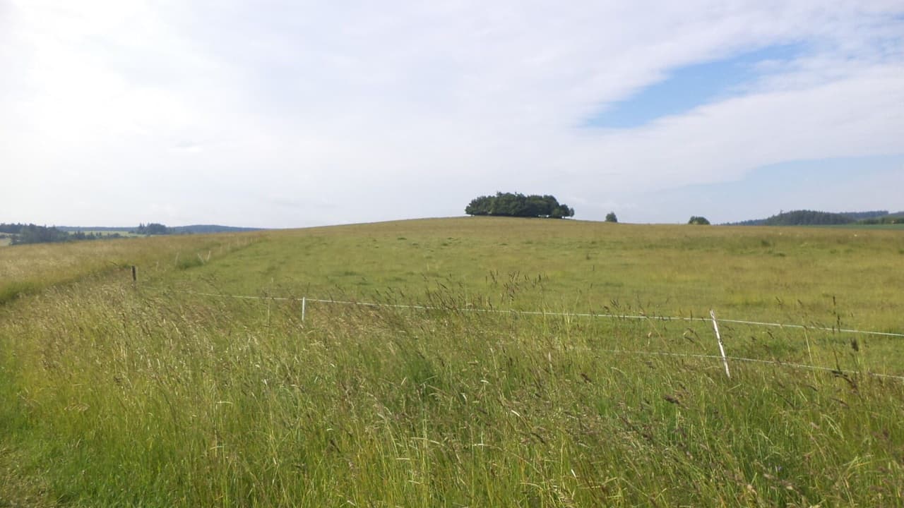 Prodej nemovitosti 4031 m²