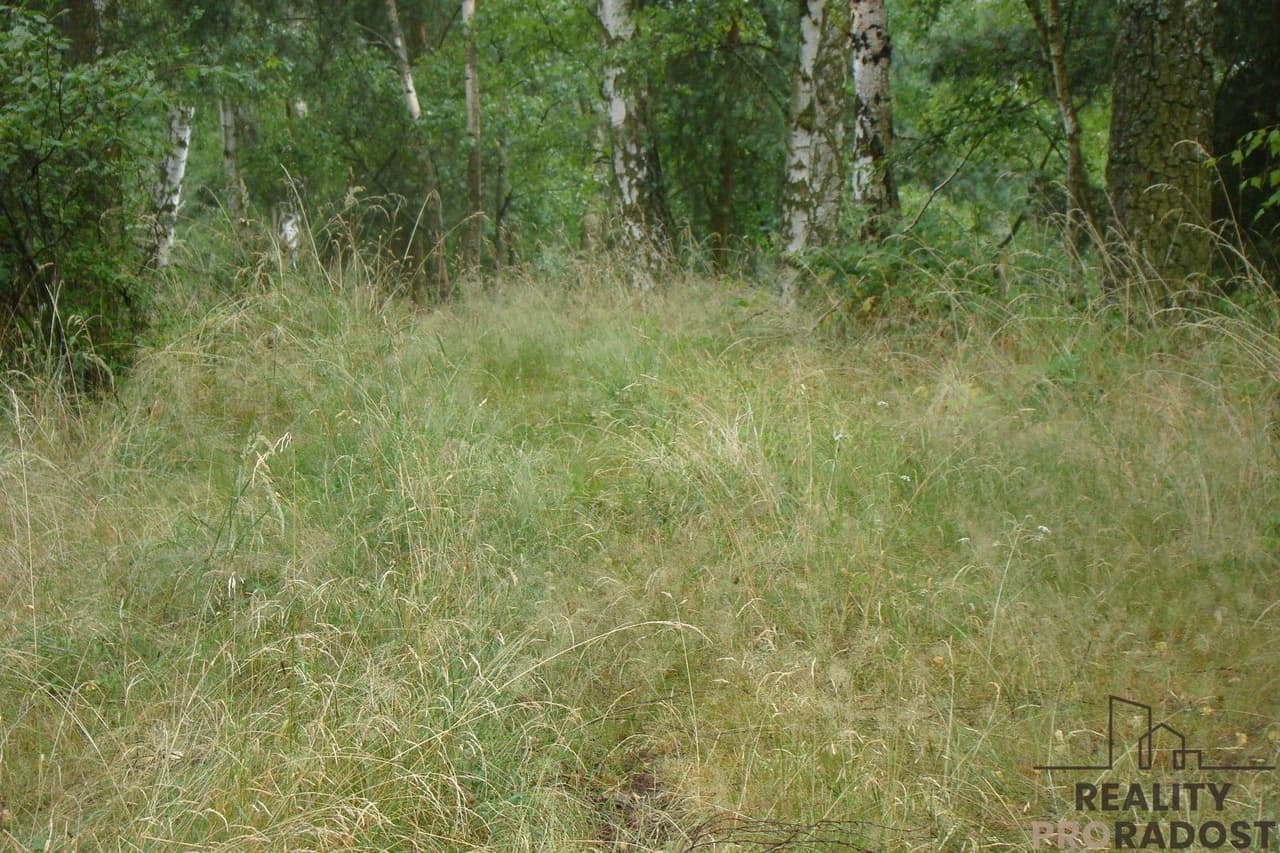 Prodej pozemku 2000 m²