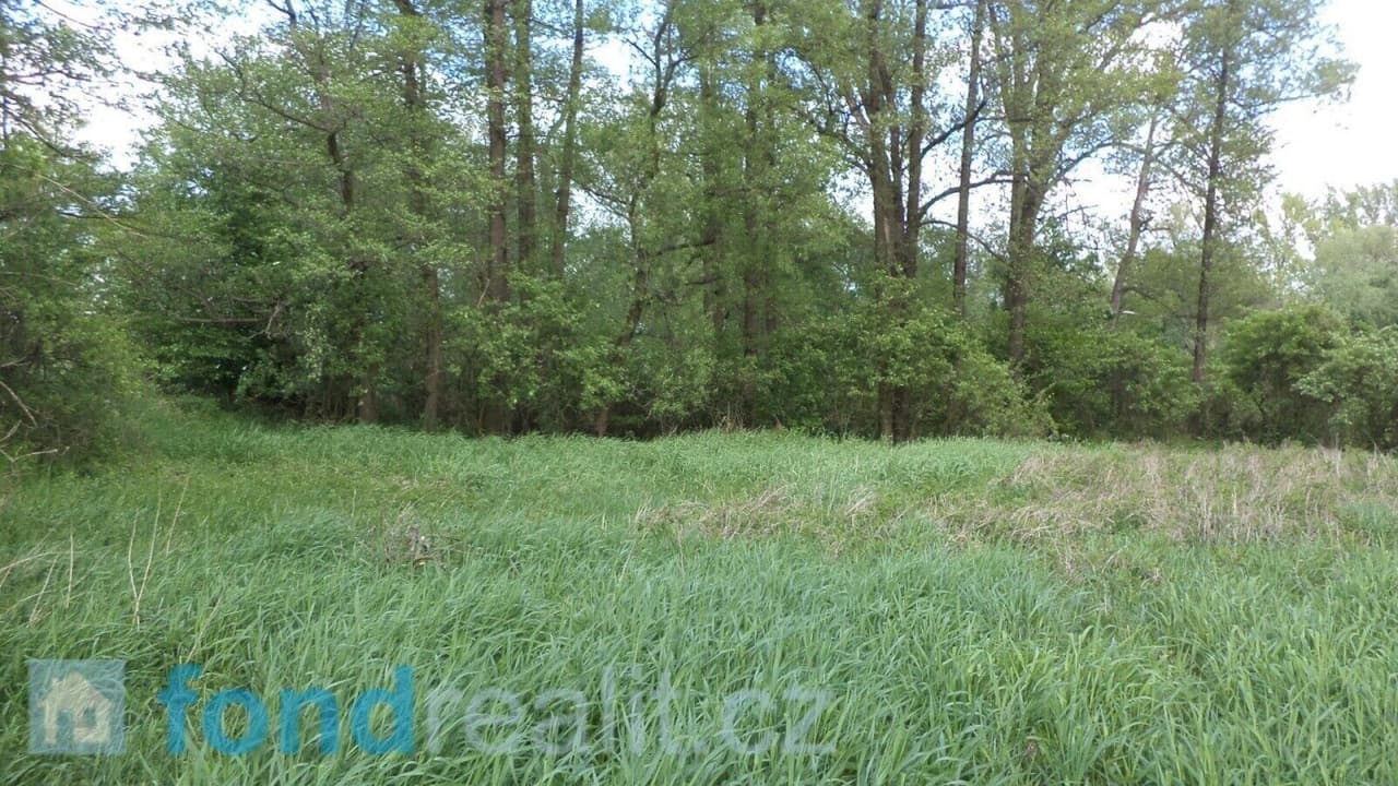 Prodej nemovitosti 1844 m²