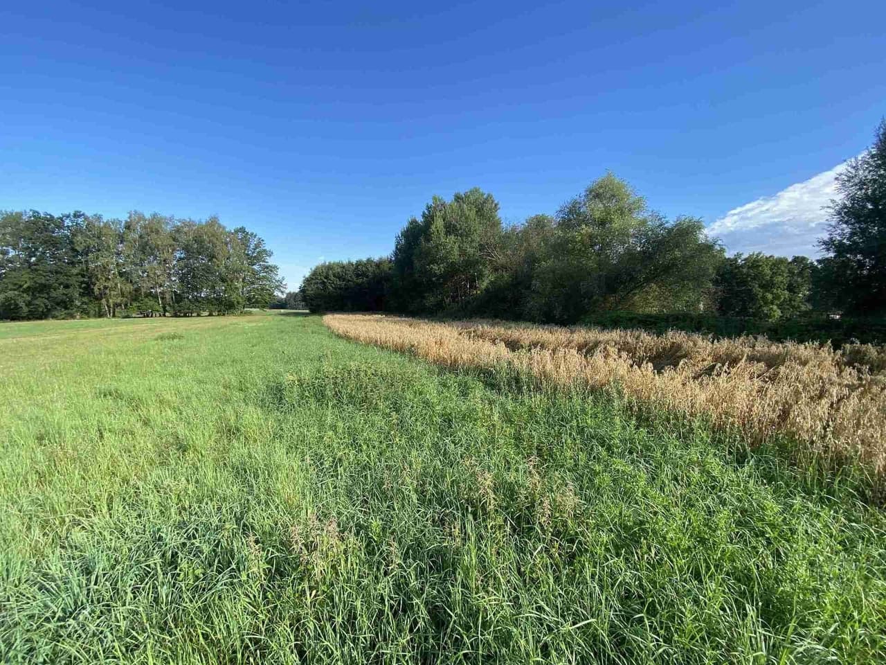 Prodej nemovitosti 1447 m²