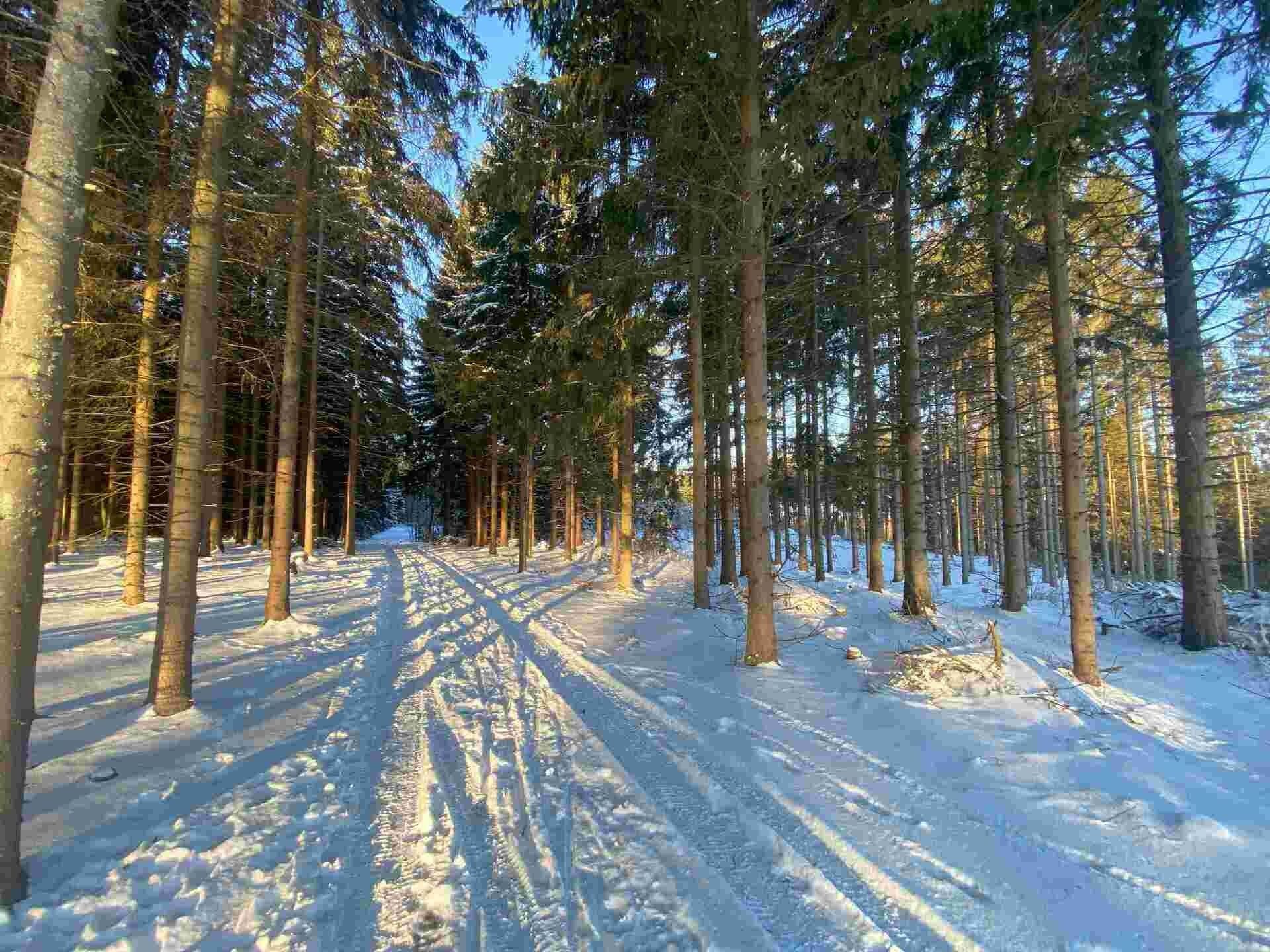 Prodej nemovitosti 2313 m²