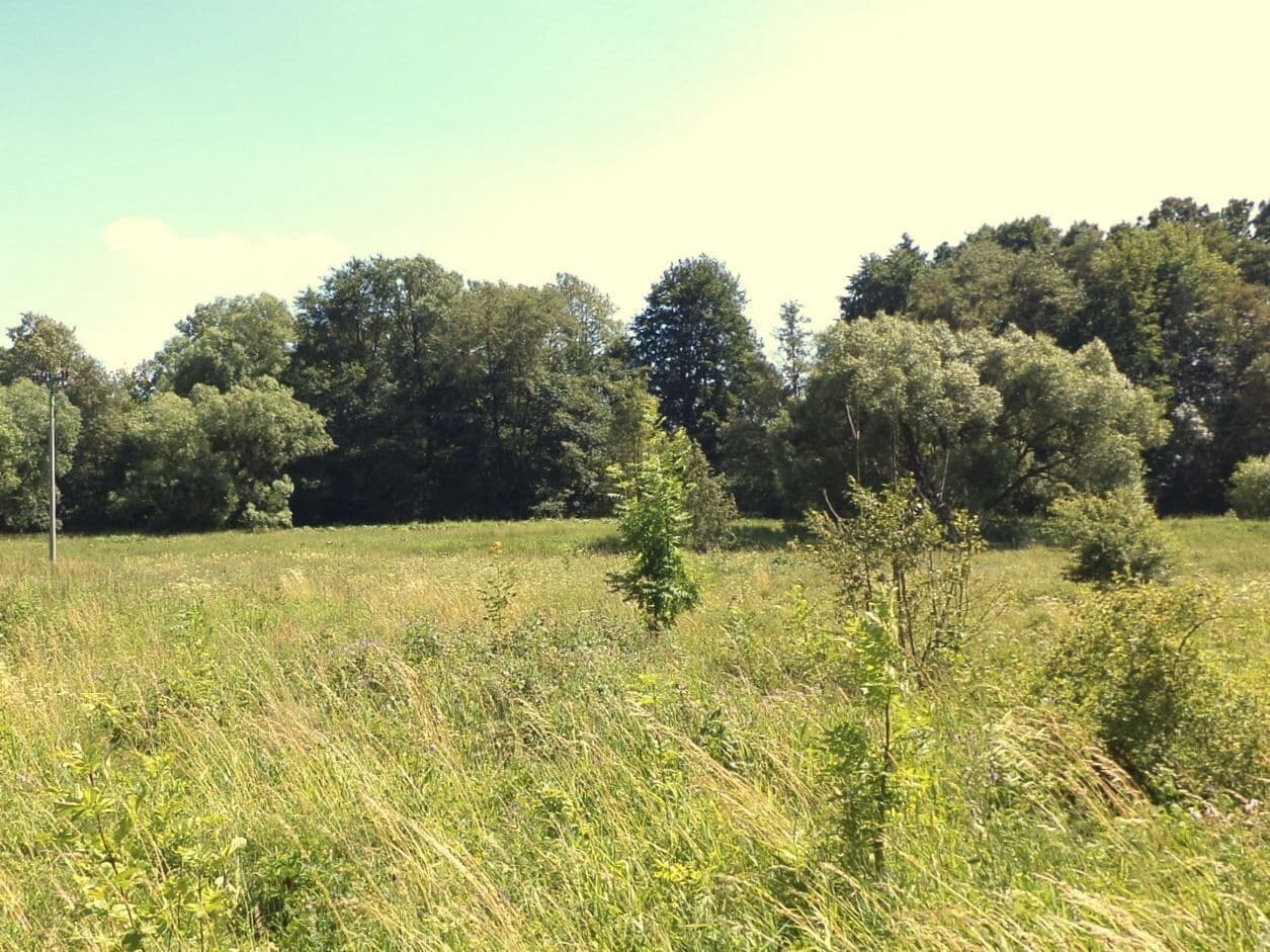 Prodej pozemku 28977 m²